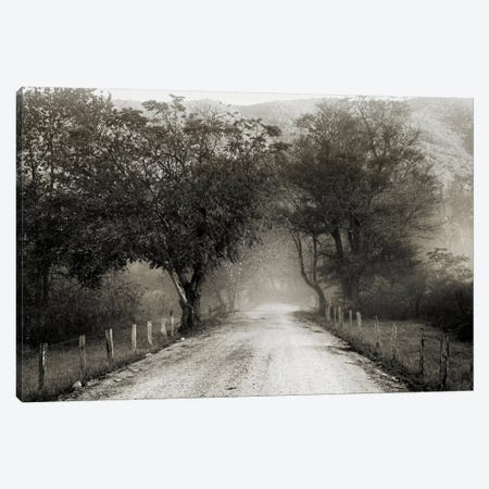 Sparks Lane Canvas Print #14656} by Nicholas Bell Photography Canvas Print
