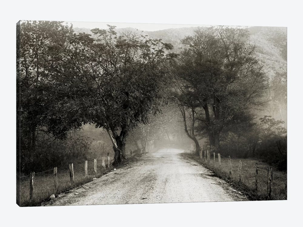 Sparks Lane by Nicholas Bell Photography 1-piece Art Print