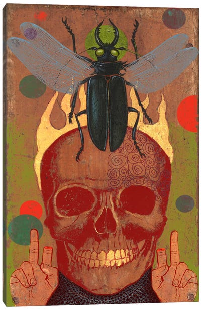 Skull Canvas Art Print - Beetles