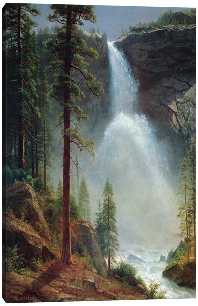 Nevada Falls Canvas Art Print - Evergreen Tree Art
