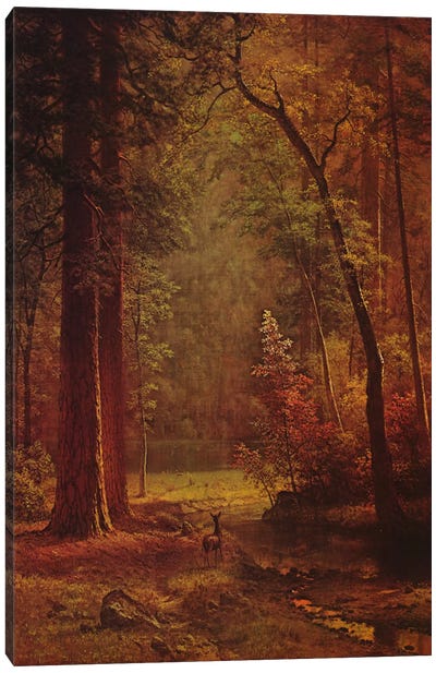 Dogwood Canvas Art Print - Albert Bierstadt