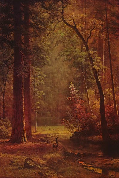 Rustic Décor: Dogwood by Albert Bierstadt