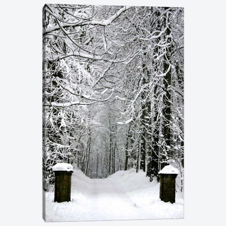 Winter Time Canvas Print #14} by Unknown Artist Canvas Print