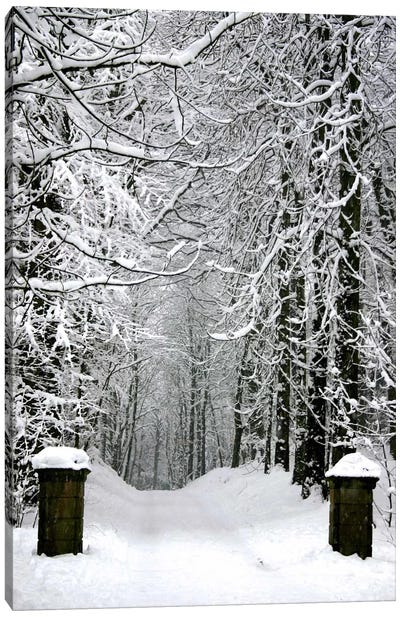 Winter Time Canvas Art Print - Black & White Scenic
