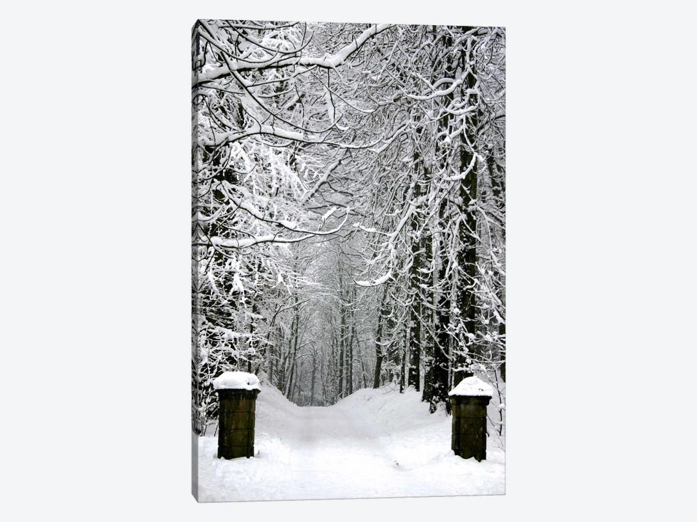Winter Time by Unknown Artist 1-piece Art Print