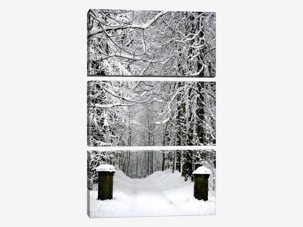 Winter Time by Unknown Artist 3-piece Art Print