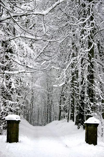 Large Black & White Art - Canvas Prints: Winter Time by Unknown Artist