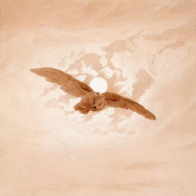Owl Flying Against a Moonlit Sky by Caspar David Friedrich metal wall art