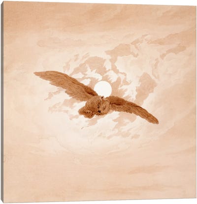 Owl Flying Against a Moonlit Sky Canvas Art Print - Romanticism Art