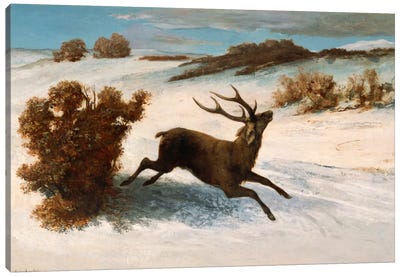 Deer Running in the Snow Canvas Art Print - Gustave Courbet