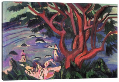 Red Tree on the Brach Canvas Art Print - Ernst Ludwig Kirchner