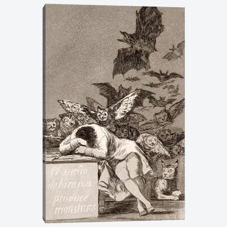 Los Caprichos: The Sleep of Reason Produces Monsters, Plate 43 Canvas Print #15347} by Francisco Goya Canvas Art