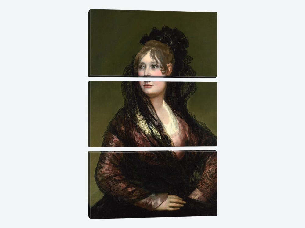 Portrait of Dona Isabel de Porcel by Francisco Goya 3-piece Canvas Print