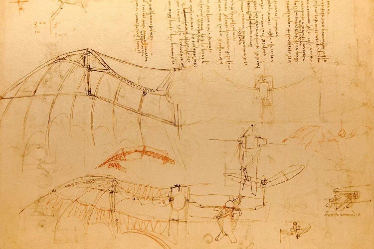 Drawing of Flying Machine with Beating Wings