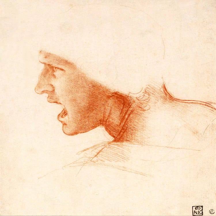 Head of a Warrior (The Red Head) by Leonardo da Vinci wall art