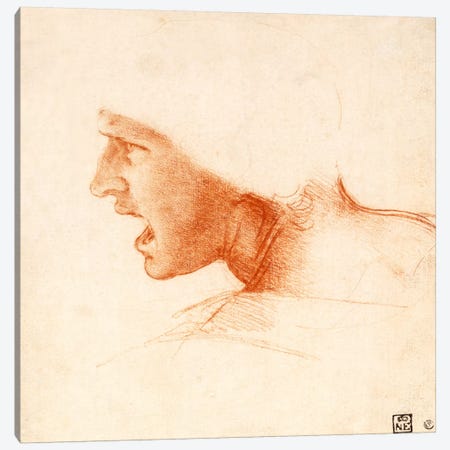 Head of a Warrior (The Red Head) Canvas Print #15395} by Leonardo da Vinci Canvas Print