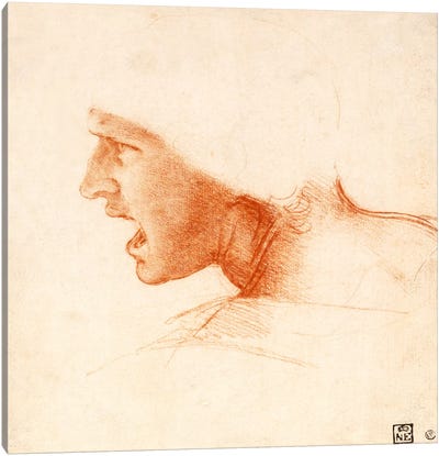 Head of a Warrior (The Red Head) Canvas Art Print - Leonardo da Vinci
