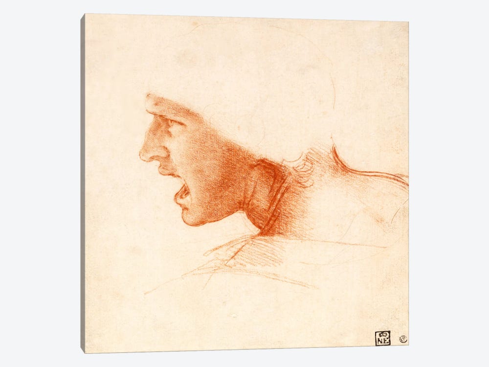 Head of a Warrior (The Red Head) by Leonardo da Vinci 1-piece Canvas Artwork