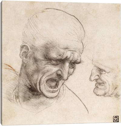 Study of Two Warriors' Heads for the Battle of Anghiari, 1505 Canvas Art Print - Leonardo da Vinci