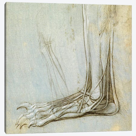 The Anatomy of a Foot, 1485 Canvas Print #15403} by Leonardo da Vinci Canvas Wall Art