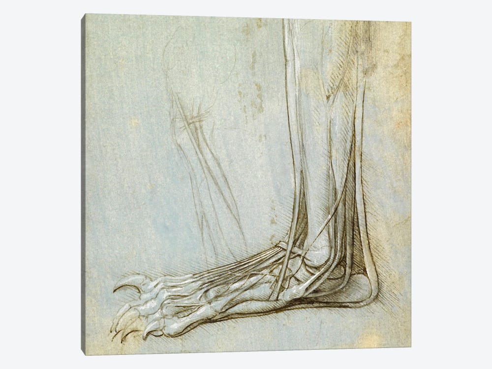 The Anatomy of a Foot, 1485 by Leonardo da Vinci 1-piece Canvas Wall Art