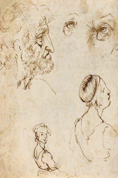 Sheet of Studies (Recto) by Leonardo da Vinci art print