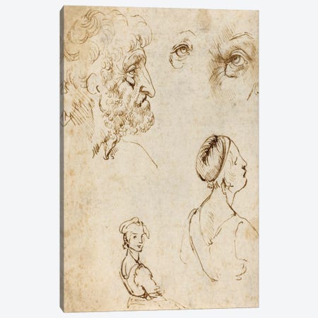 Sheet of Studies (Recto) Canvas Print #15407} by Leonardo da Vinci Canvas Art Print