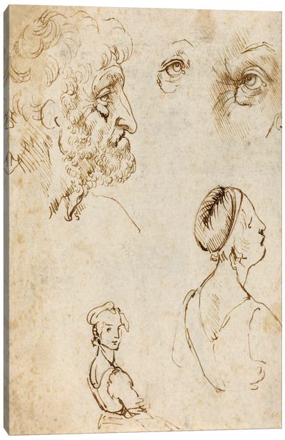 Sheet of Studies (Recto) Canvas Art Print - Leonardo da Vinci