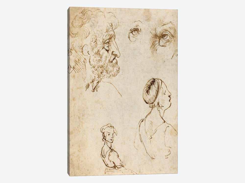Sheet of Studies (Recto) by Leonardo da Vinci 1-piece Canvas Artwork
