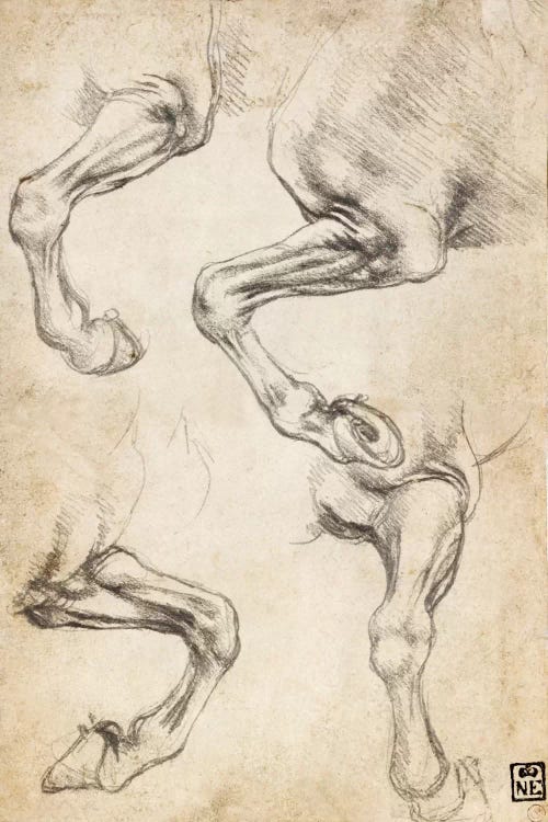Studies of Horse's Legs by Leonardo da Vinci wall art