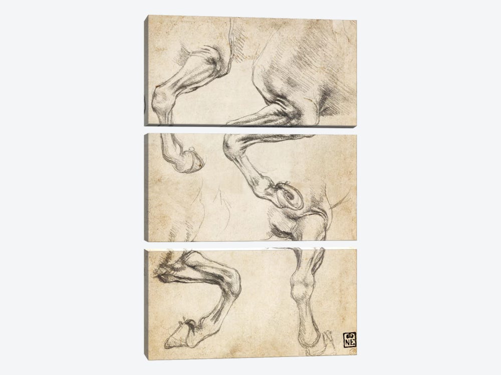 Studies of Horse's Legs by Leonardo da Vinci 3-piece Art Print