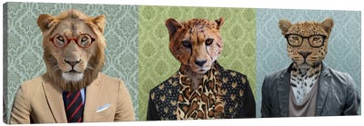 Dressed Up Wild Cat Trio Canvas Art Print - Animal Personalities
