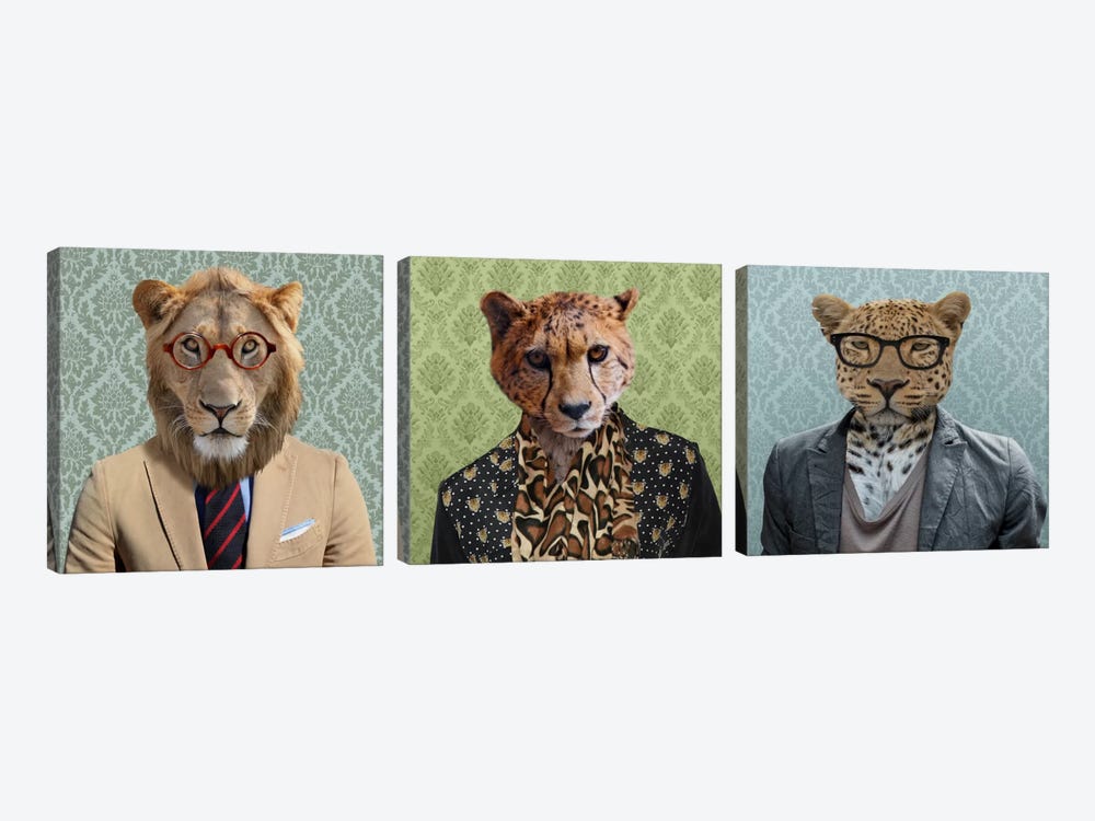Dressed Up Wild Cat Trio 3-piece Canvas Print