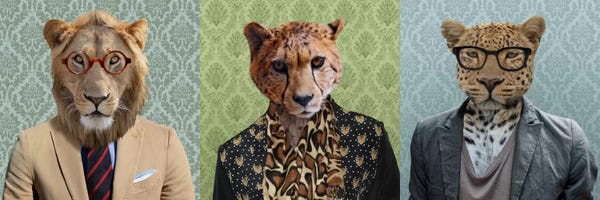 5by5collective: Dressed Up Wild Cat Trio by 5by5collective