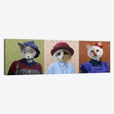 Dressed Up Cat Trio Canvas Print #15446} by 5by5collective Canvas Print