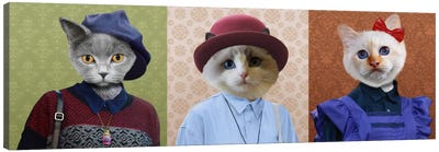 Dressed Up Cat Trio Canvas Art Print - Animal Personalities