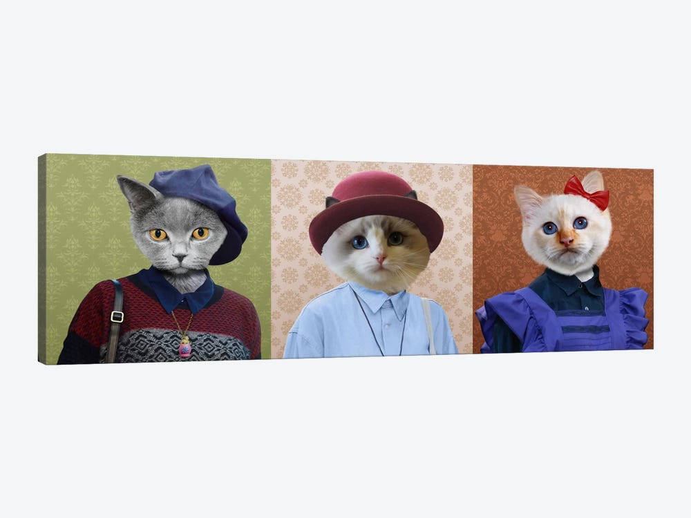 Dressed Up Cat Trio by 5by5collective 1-piece Art Print