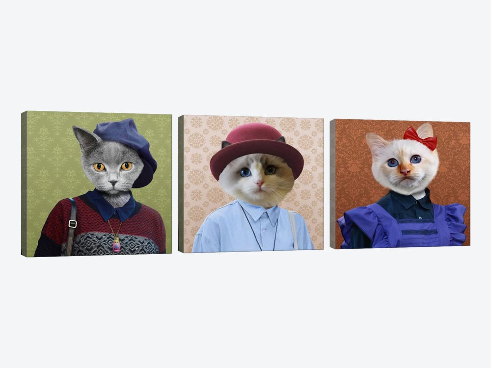 Dressed Up Cat Trio 3-piece Art Print