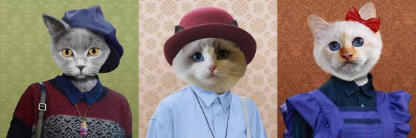 British Shorthairs: Dressed Up Cat Trio by 5by5collective