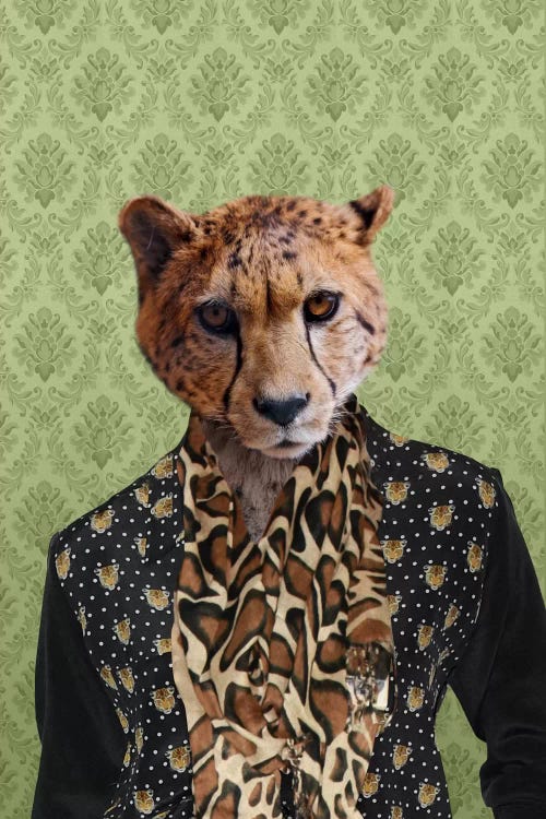 Chase the Cheetah