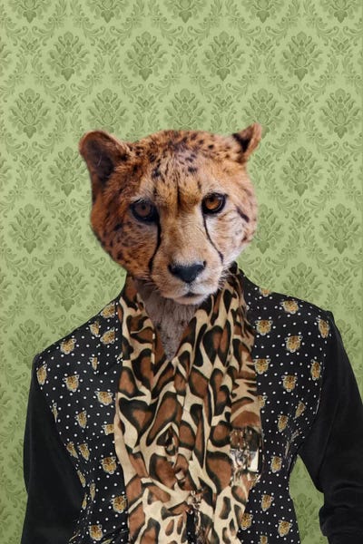 Cheetahs: Chase the Cheetah by 5by5collective