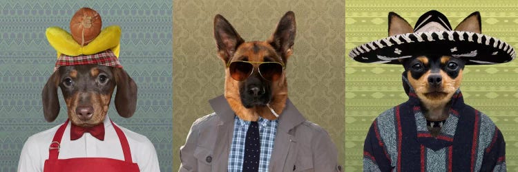 Dogs Dressed Down Trio 2 by 5by5collective wall art