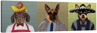 Dogs Dressed Down Trio 2 Canvas Art Print - Animal Personalities