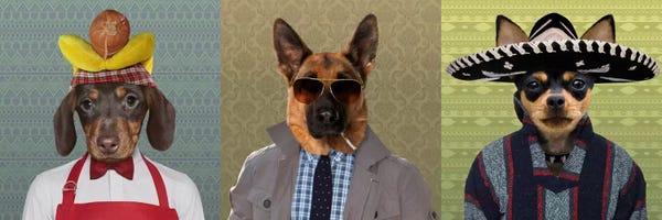 German Shepherds: Dogs Dressed Down Trio 2 by 5by5collective