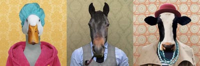 Farm Animals Dressed Up by 5by5collective canvas print