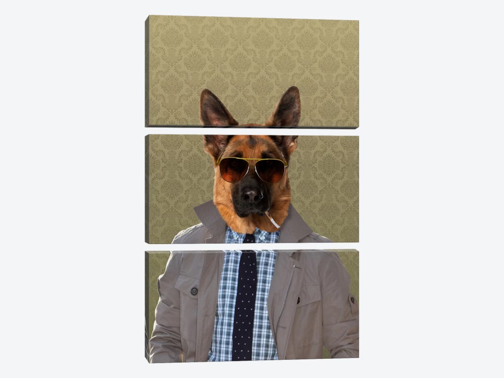 Guy the German Shepherd by 5by5collective 3-piece Canvas Artwork