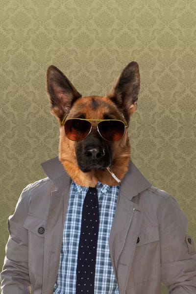 German Shepherds: Guy the German Shepherd by 5by5collective