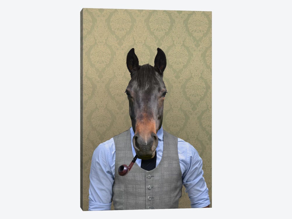 Horace the Horse by 5by5collective 1-piece Canvas Art