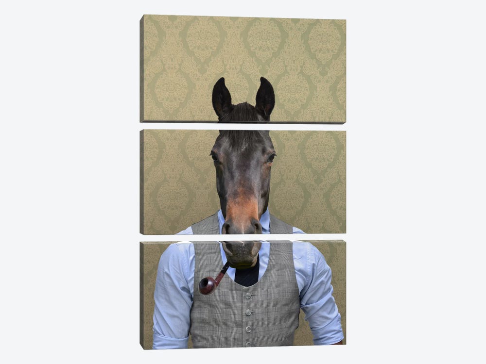 Horace the Horse by 5by5collective 3-piece Canvas Art