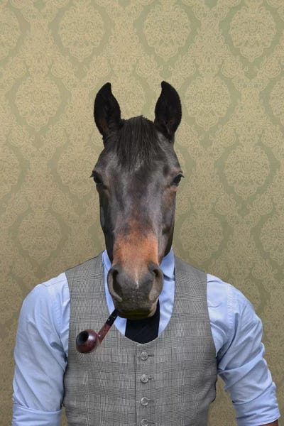 5by5collective: Horace the Horse by 5by5collective